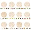 For Frog Animal Life Cycle Model Desktop Decoration Educational Development Toys Realistic Appearance Stimulate Interest