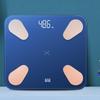 Smart USB Rechargeable Body Fat Scale (CN Version)