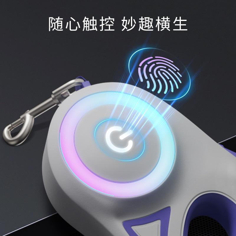 3M/5M Automatisch Intrekbaar Hondentuig met Zaklamp, LED Gloeiend Nachtelijk Wandelriem, Duurzaam Nylon Buitenriem voor Hond