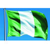 Bandera de Nigeria 90x150cm Nga Ng Bandera Nacional de Nigeria Banner Colgante de Poliéster Impreso Para Decoración