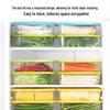 Camellia 830ml Food Storage Containers 3-Pack