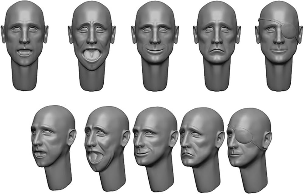 

Black Dog head 10 pieces resin kit HAU3D35001 1/35