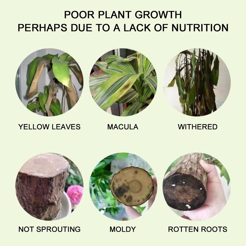 1/10 buc Lemn de Brazilia Soluție Nutritivă Specială Eficientă Promovează Sănătatea Plantelor Creștere Nutrienți Îmbunătățitor de Creștere a Plantelor Multifuncțional