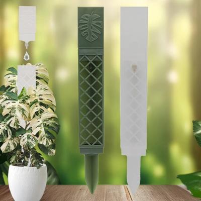 Tırmanıcı Bitkiler için Kendinden Sulamalı Yosun Direkleri İç Mekan D Şeklinde Bitki Destek Çubuğu Kiti Yarı Şeffaf İç Mekan Bitkileri için Monstera Destek Çubuğu