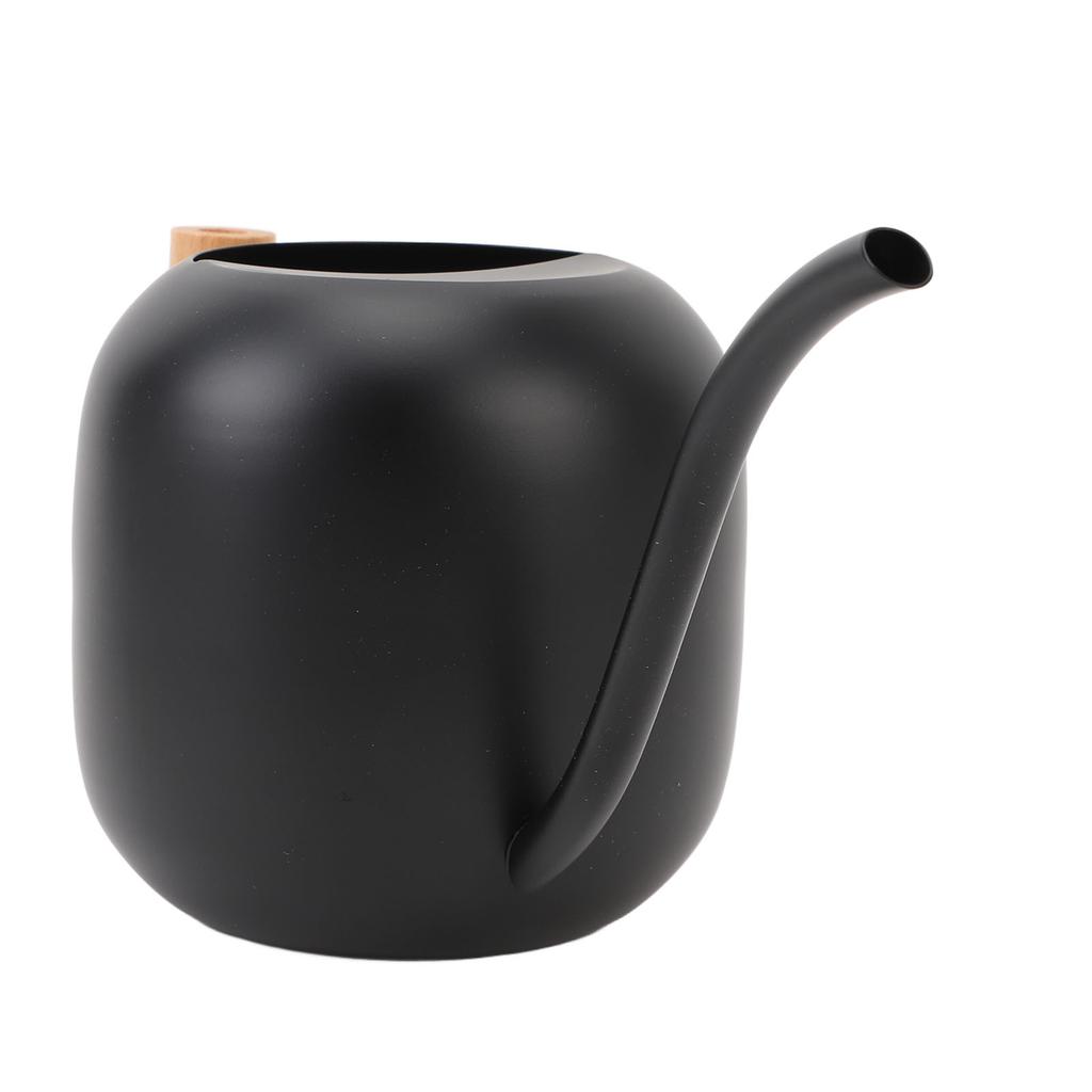 Gießkanne für Zimmerpflanzen Edelstahl Holzgriff Gießkanne mit langem Ausguss