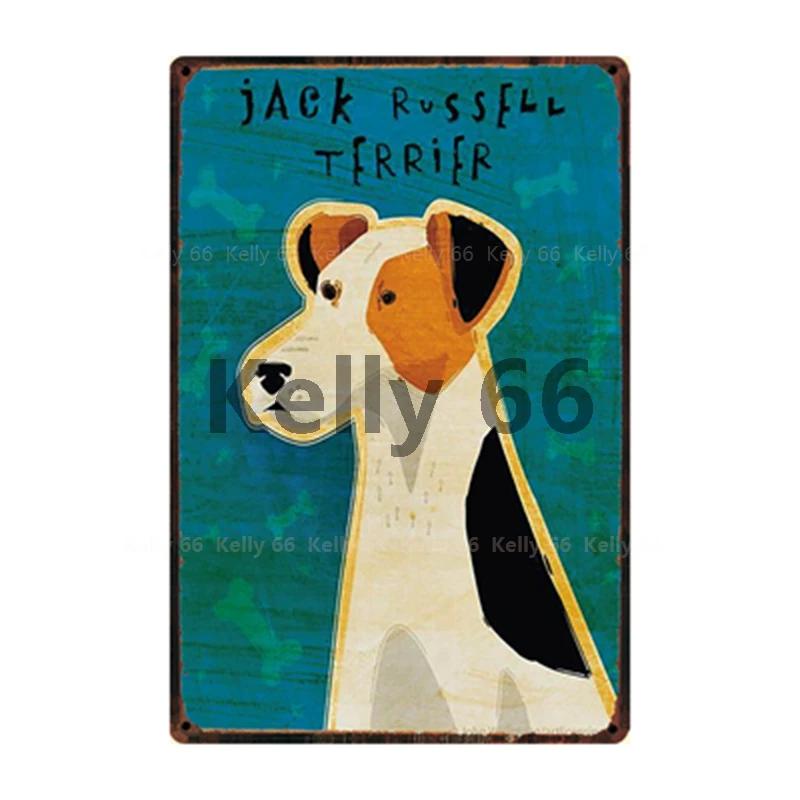 Kelly Pet Dogs Rules Better Life With Jack Russell Terrier Metal Sign Home Decor Bar Wall Art Painting CM Size DG 20x30cm(7.8x11.8inch)