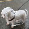 Transparent Waterproof Dog Raincoat, Raincoat for Small and Medium-Sized Dogs, Teddy and Bichon Frise Dog for Rainy Days Walking