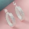 925 Sterling Silver Simple Mesh Earrings Woven Earrings Birthday Party Anniversary Gift Daily Wear