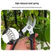 Multi-functional Stainless Steel Pruning Shears for Gardening, Bonsai, Fruit Trees, Grapes, and Peppers.