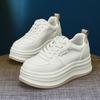 Platform White Shoes Women's Autumn and Winter New Autumn Muffin Versatile Small Fashion Casual Shoes Trend