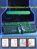 Silent Mechanical Feel Wired Keyboard and Mouse Set for Gaming and Office Use