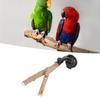 Bird Branch Perch Stand Training Interactive Prevent Slip Wooden   Perch with Suction Cups for Small Medium Bird