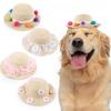 New Pet Straw Hat Cute Pet Photo Decoration Lace Hat Cat Headpiece Small Daisy Straw Hat