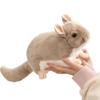 Lifelike Chinchilla Plush Toys Cozy Simulation Rat Doll Totoro Plush Doll  Children Companion