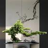 Simulated Welcome Pine Ornament New Chinese Entrance Living Room Office Hotel Clubhouse Decorative Landscape Landscaping