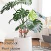 Pack of 2 Monstera Plant Stakes Vertical Growth Support for Indoor and Outdoor Plant Care Growth Accessories
