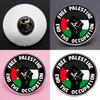 Alloy Pin Palestinian Flag Lapel Badge Commemorative Souvenir