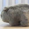 Simulation Wombat Toy Lovely Vivid Expression Birthday Gift Stuffed Guinea Pig Animal Toy for Girl