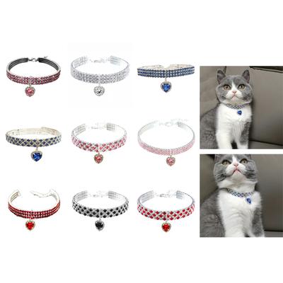 Katzen – Katzenhalsbänder & Leinen