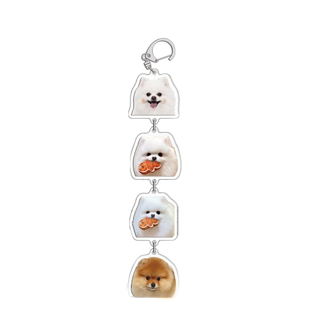 Portable Acrylic Keychain Cartoon Animal Pendant Keyring Fashionable Couples Key Rings Bag Ornament for Pet Owners