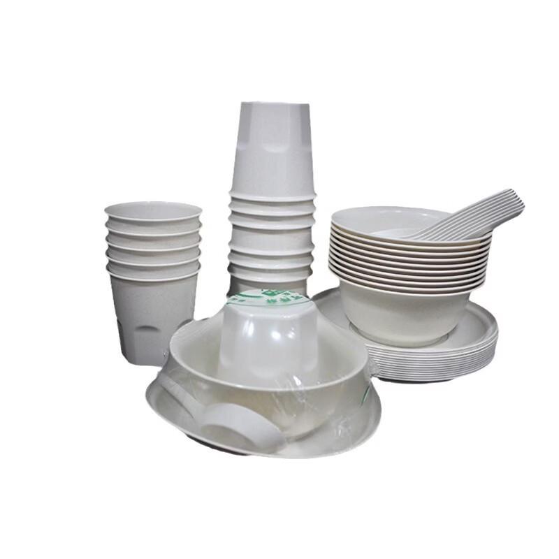 Eco-Friendly Rice Husk Disposable 3-Piece Tableware Set
