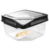 Flip Cover Type Reptile Carrier Box Plastic Lizard Grow Box  Tarantulas