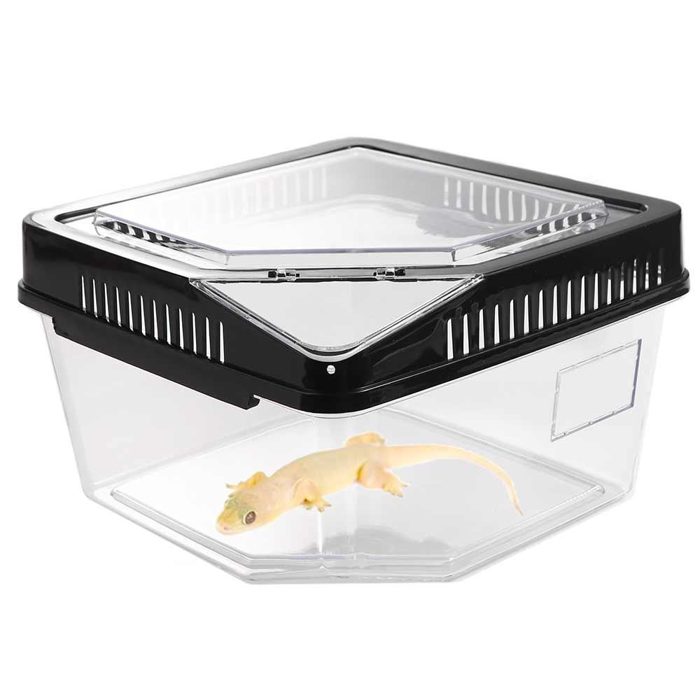 Flip Cover Type Reptile Carrier Box Plastic Lizard Grow Box  Tarantulas