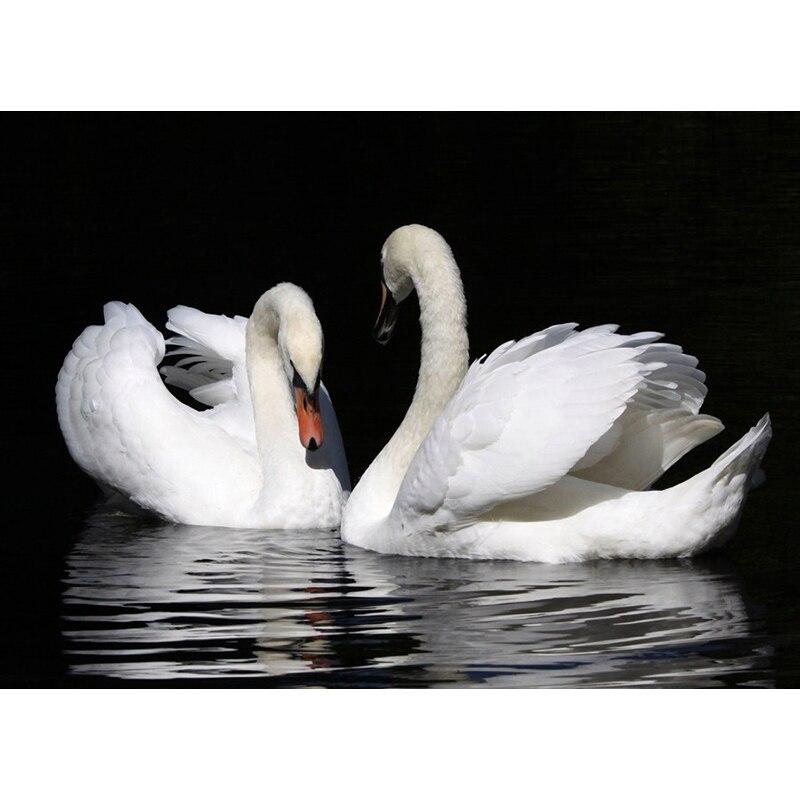 

Новый 5D DIY алмазная живопись сто лебедей Алмазная вышивка животных вышивка крестиком полная круглая дрель ремесла домашний декор подарок Full Round 40x50CM