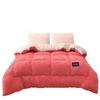 Thickened Winter Lambswool Cotton Quilt: Cozy Dormitory Milk Velvet Duvet