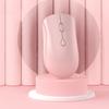 Wygodna bezprzewodowa mysz Symetryczna konstrukcja Przenośna Cicha