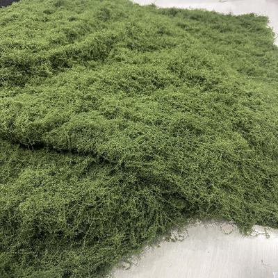 Artificial Woolly Moss Lawn for Indoor Landscaping and Decoration