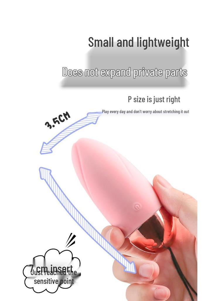 Lai Le Little Whale Multi-Frequency Wireless Remote Control Vibrator for Internal Female Use.