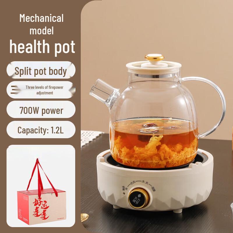 Shangqi Mini Health Kettle