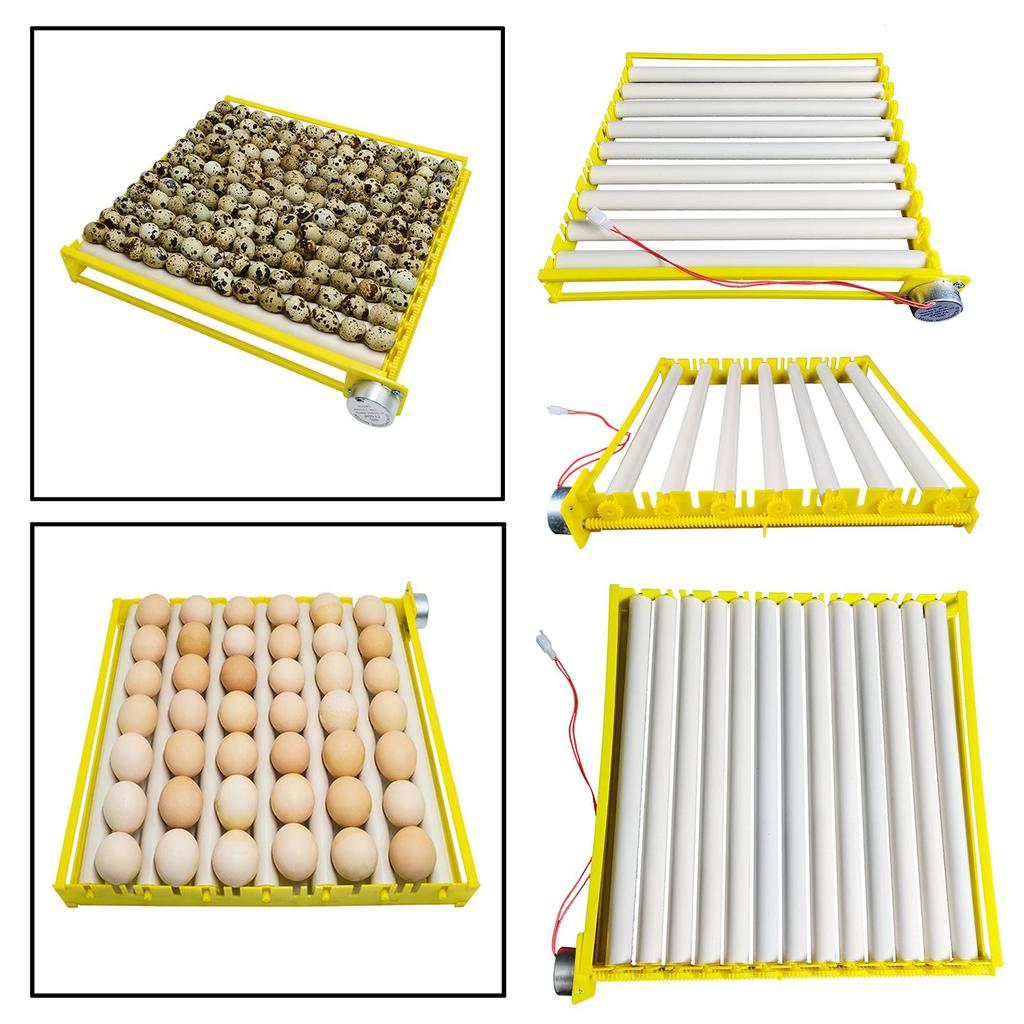Egg Incubator Tray Automatic Egg Roller Household for Quail