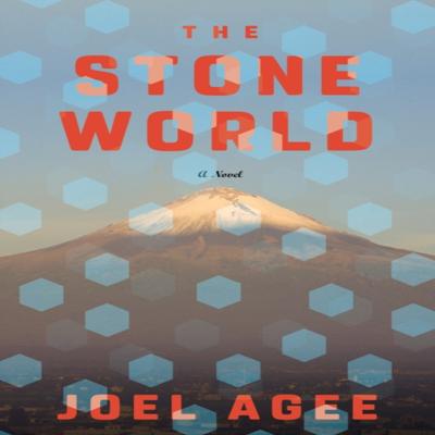 The Stone World by Joel Agee Hardback Book 9781612199542