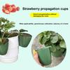 Strawberry Propagation Cups Ventilated Strawberry Plant Starter Cups with And Runner Forks Propagation Containers for Promoting Healthy Growth