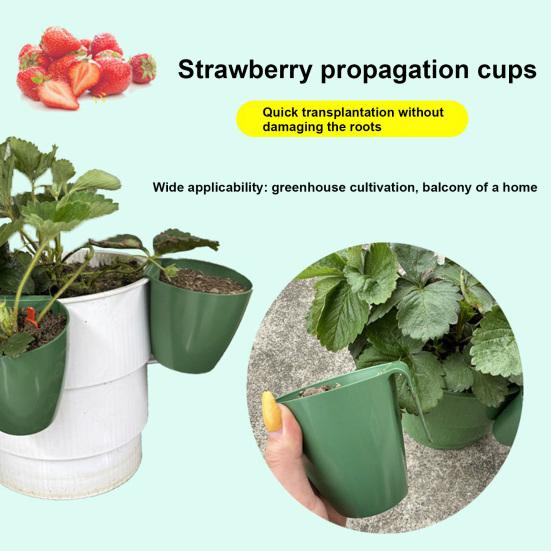 Strawberry Propagation Cups Ventilated Strawberry Plant Starter Cups with And Runner Forks Propagation Containers for Promoting Healthy Growth