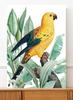 Poster Golden Parrot Exotic Plants