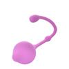 Kegel Smart Ball Three-Piece Set Female Supplies Postpartum Firming Massage Repair Ball Vaginal Dumbbell Trainer Love