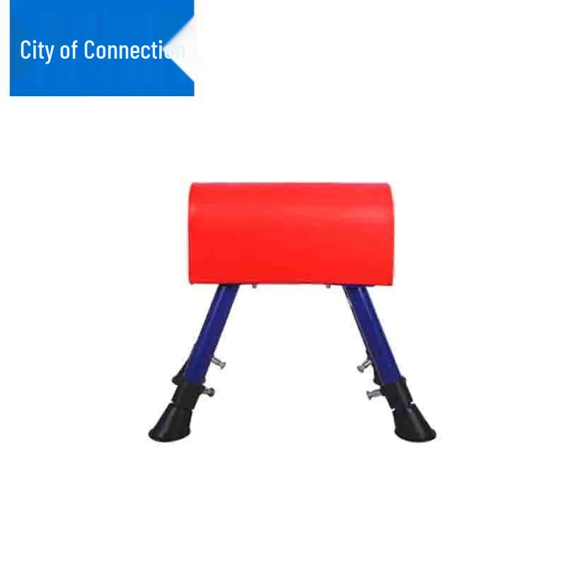 Lianzhi City Children s Training Pommel Horse