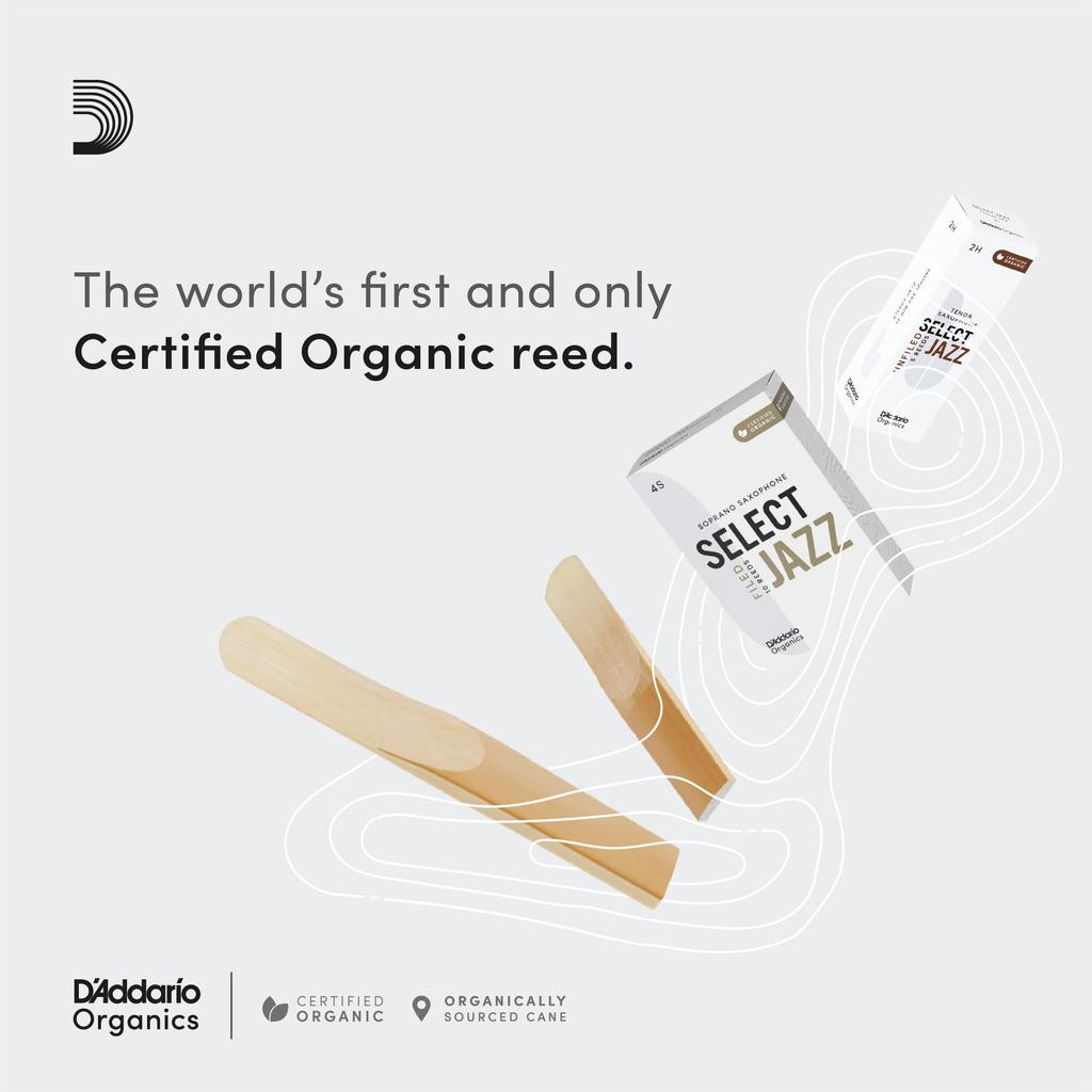 Ancie WoodWinds pentru Saxofon Alto Certificat USDA Organic SELECT JAZZ FILED ORSF03ASX2H 3 Bucăți D'Addario D'Addario [Duritate 2H] []