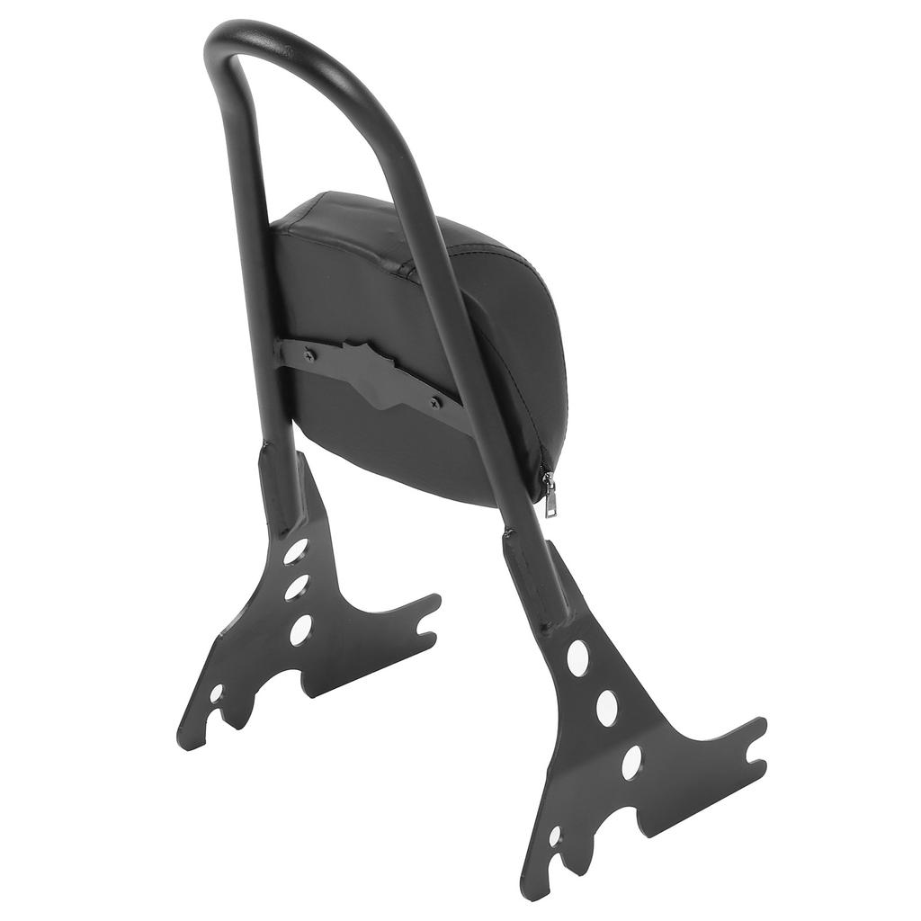 Detachable Motorcycle Backrest Bar Pad Kit Fit for XL883C XL883R 200R 200C XLH883 04-19