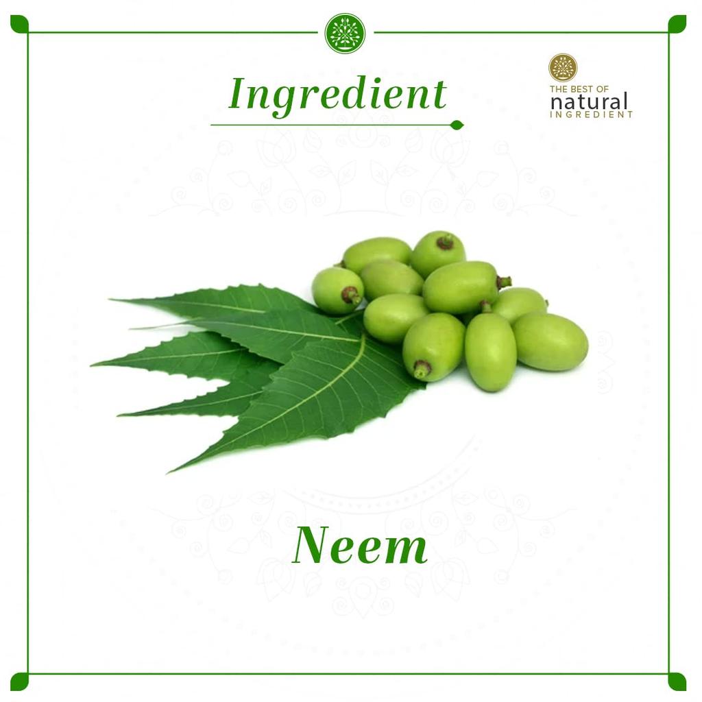 Khadi Natural Neem Sat Shampoo 210ml Pack of 1 for Thick, Strong, Nourished Hair, Sulphate & Paraben Free