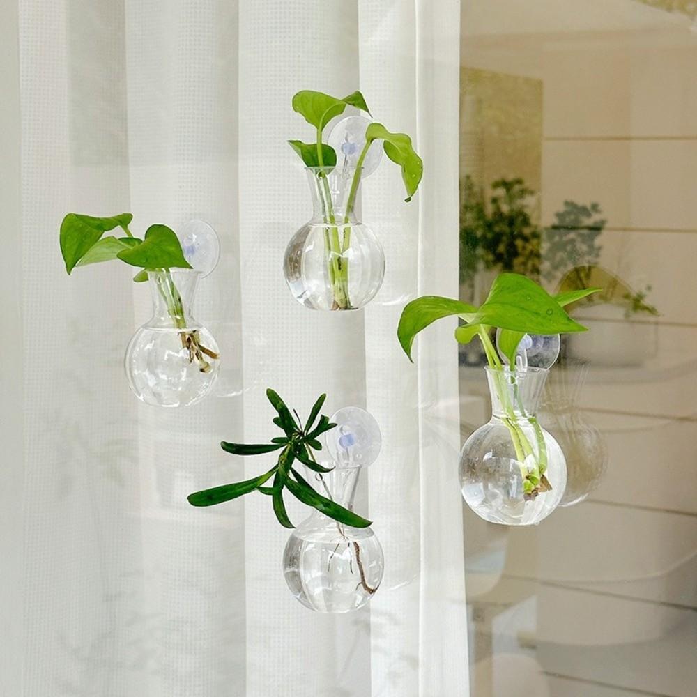 4pcs/set with Suction Cups Plant Hydroponic Vase Transparent Hanging Fish Tank  Living Room
