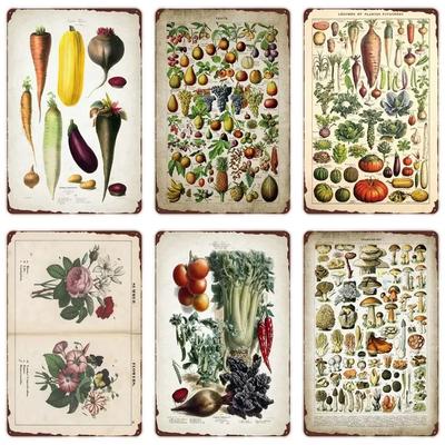 VegFruitVintageSign Vegetable Plants Retro Poster - Fruits/Cauliflower Vintage Metal Tin Sign, Garden/Kitchen Farm Wall Decor