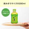 Tè Verde Ito En Oi Ocha 280ml x 12 bottiglie [Vendita in Blocco]