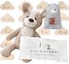 JP-SAKURA [Authentic Product with Gift Wrapping] First Toy Bear, Japan Inspected, Baby Plush Toy, Includes Photo Set, My Baby List, Newborn Gift (Dog