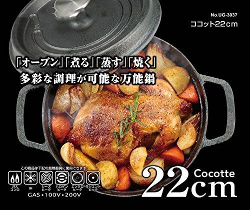 Captain Stag Cocotte Dutch Oven, 22cm, 2.8L Capacity, Cast Iron, No Seasoning Required, Gas, Induction, and Oven Compatible, UG-3037