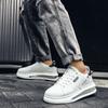 Four Seasons Air Cushion Shoes Men's Non-slip Casual Shoes Junior High School Daily Running Shoes Men's Small White Shoes