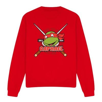 Teenage Mutant Ninja Turtles Unisex Adult Since 1984 Raphael Sweatshirt